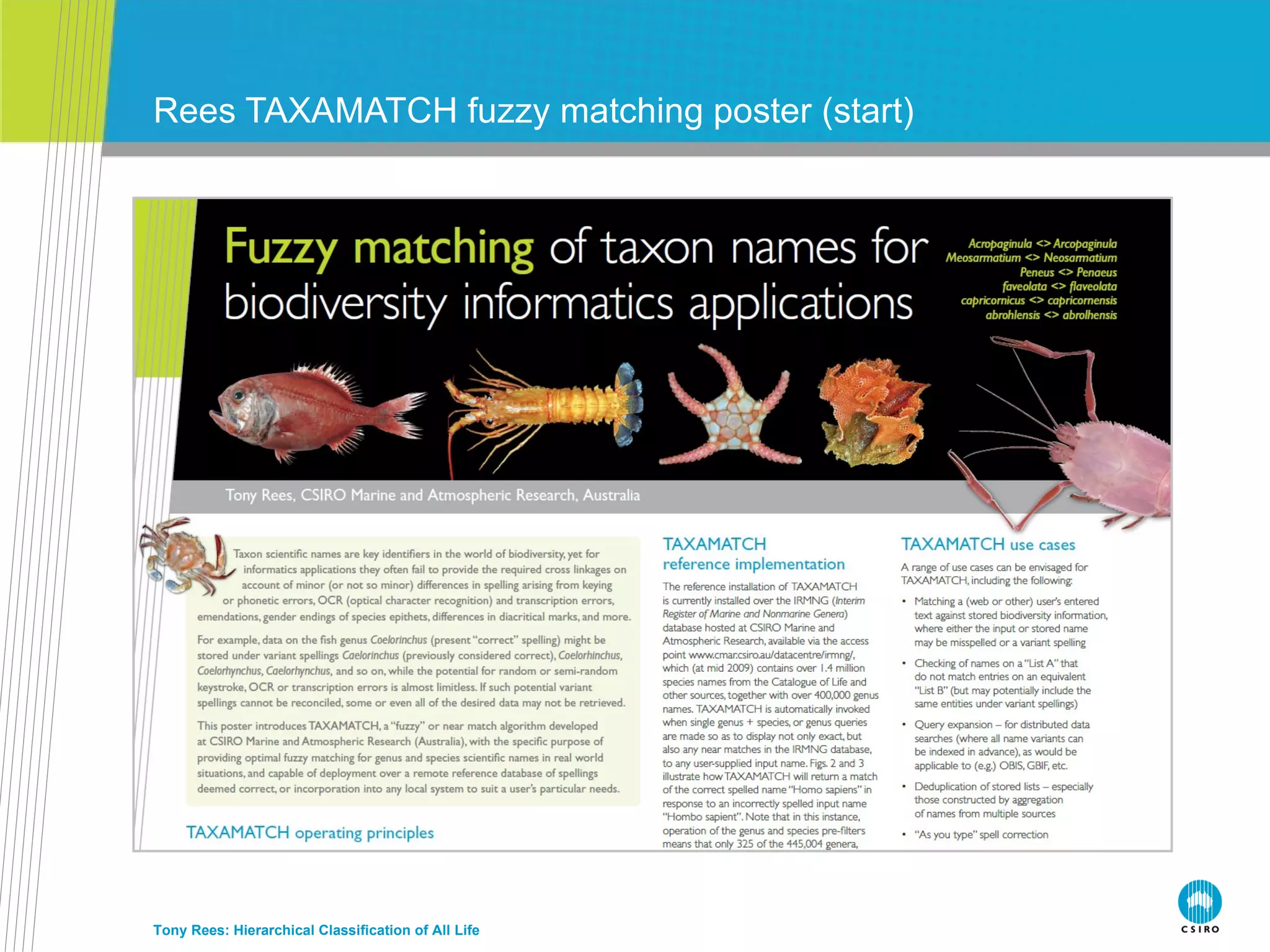 Rees TAXAMATCH fuzzy matching poster (start) Tony Rees: Hierarchical Classification of All Life 