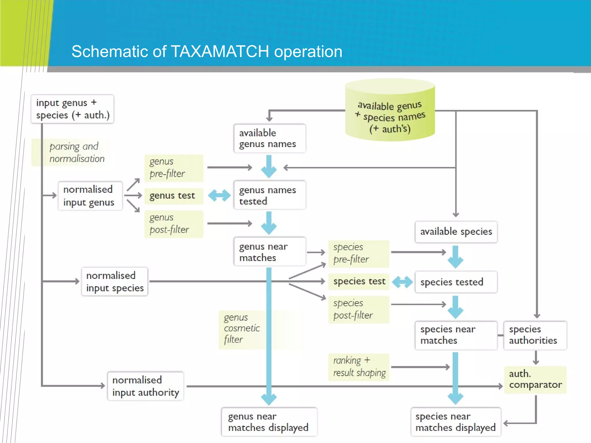 Schematic of TAXAMATCH operation Tony Rees: Hierarchical Classification of All Life 