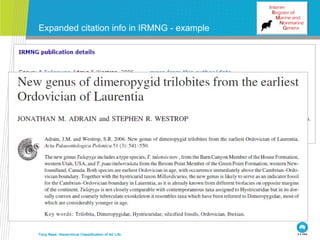 Expanded citation info in IRMNG - example  Tony Rees: Hierarchical Classification of All Life 