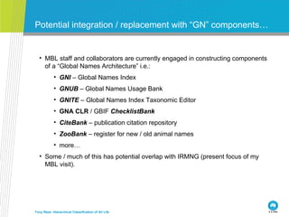 Potential integration / replacement with “GN” components… Tony Rees: Hierarchical Classification of All Life <ul><ul><li>M...