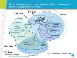 Nomenclature governed by four separate  Codes , i.e. Zoological, Botanical, Bacteriological, Viruses Tony Rees: Hierarchic...