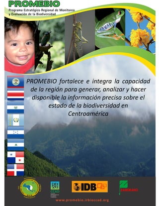 PROMEBIO fortalece e integra la capacidad
 de la región para generar, analizar y hacer
  disponible la información precisa sobre el
        estado de la biodiversidad en
                Centroamérica




          w w w.promebio.irbioccad.org
 