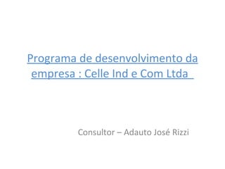Programa de desenvolvimento da empresa : Celle Ind e Com Ltda  Consultor – Adauto José Rizzi 