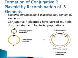  bacterial chromosome & plasmids may contain IS
elements.
 Conjugative R plasmids have spread multiple
drug resistance in bacterial populations.
 