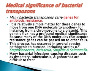  Many bacterial transposons carry genes for
antibiotic resistance.
 It is relatively simple matter for these genes to
move from one DNA molecule to another- for
instance, from a chromosome to a plasmid. This
genetic flux has a profound medical significance
because many of the DNA molecules that acquire
resistance genes can be passed on to other cells.
 This process has occurred in several species
pathogenic to humans, including strains of
Staphylococcus, Neisseria, Sbigella & Salmonella.
 Many bacterial infections causing diseases such
as dysentery, tuberculosis, & gonorrhea are
difficult to treat.
 
