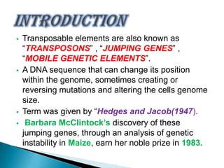  Transposable elements are also known as
“TRANSPOSONS” , “JUMPING GENES” ,
“MOBILE GENETIC ELEMENTS”.
 A DNA sequence that can change its position
within the genome, sometimes creating or
reversing mutations and altering the cells genome
size.
 Term was given by “Hedges and Jacob(1947).
 Barbara McClintock’s discovery of these
jumping genes, through an analysis of genetic
instability in Maize, earn her noble prize in 1983.
 