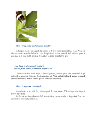 Reete naturiste cu Aloe Vera pe care le poi prepara acas.docx