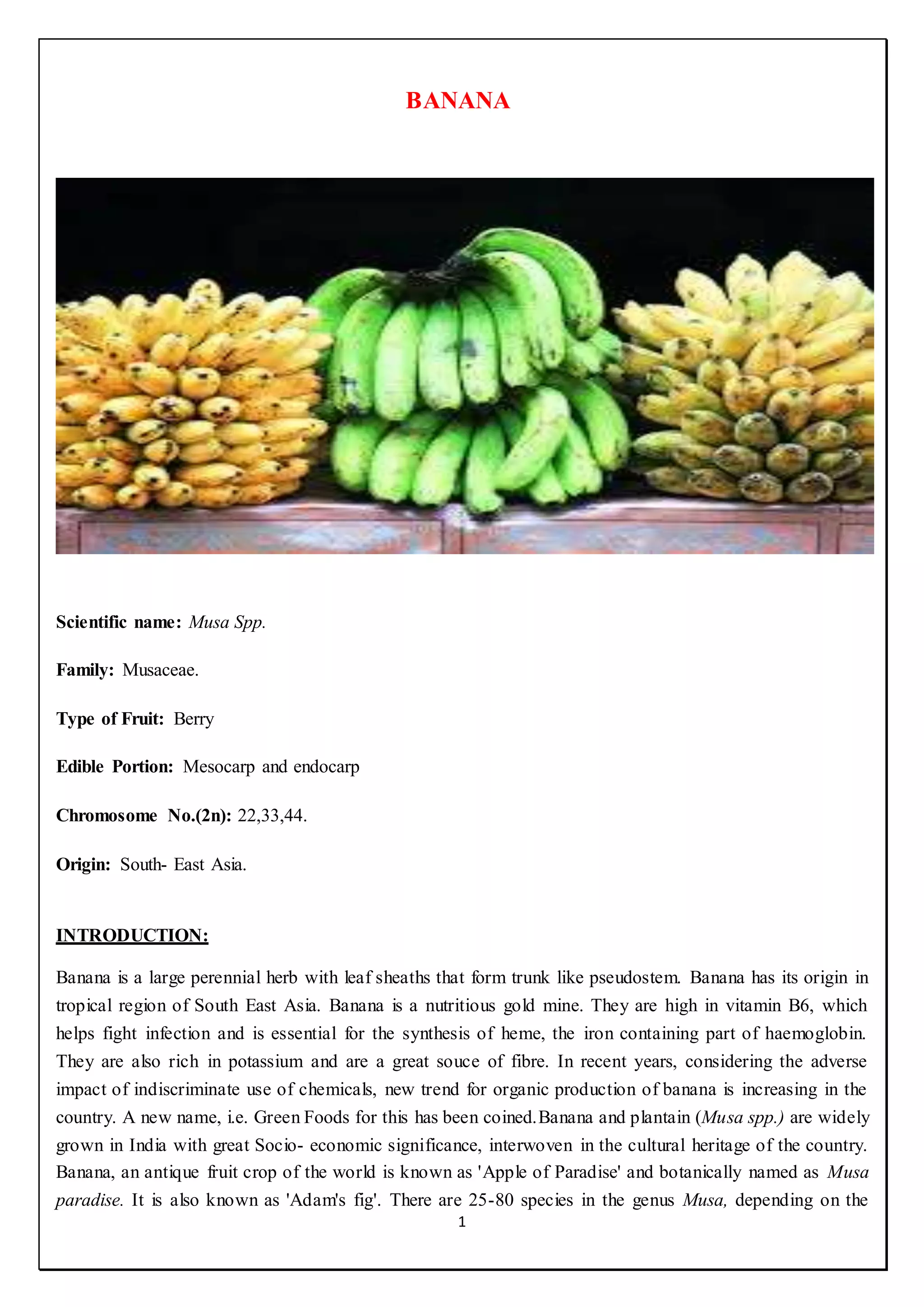 Reeti 656 banana cultivation PDF
