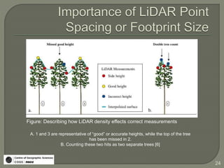 Reeves: Modelling & Estimating Forest Structure Attributes Using LiDAR ...