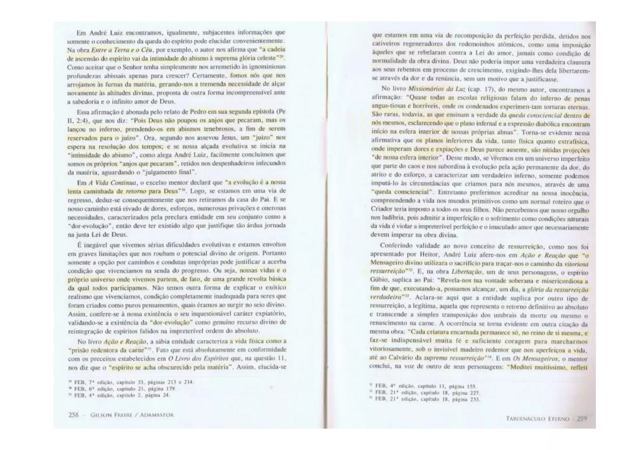 Ref   anjos decaidos