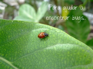 Para ajudar a
encontrar bugs..
 