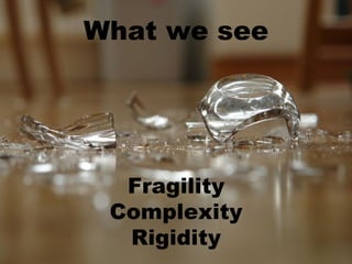 What we see




  Fragility
 Complexity
  Rigidity
 
