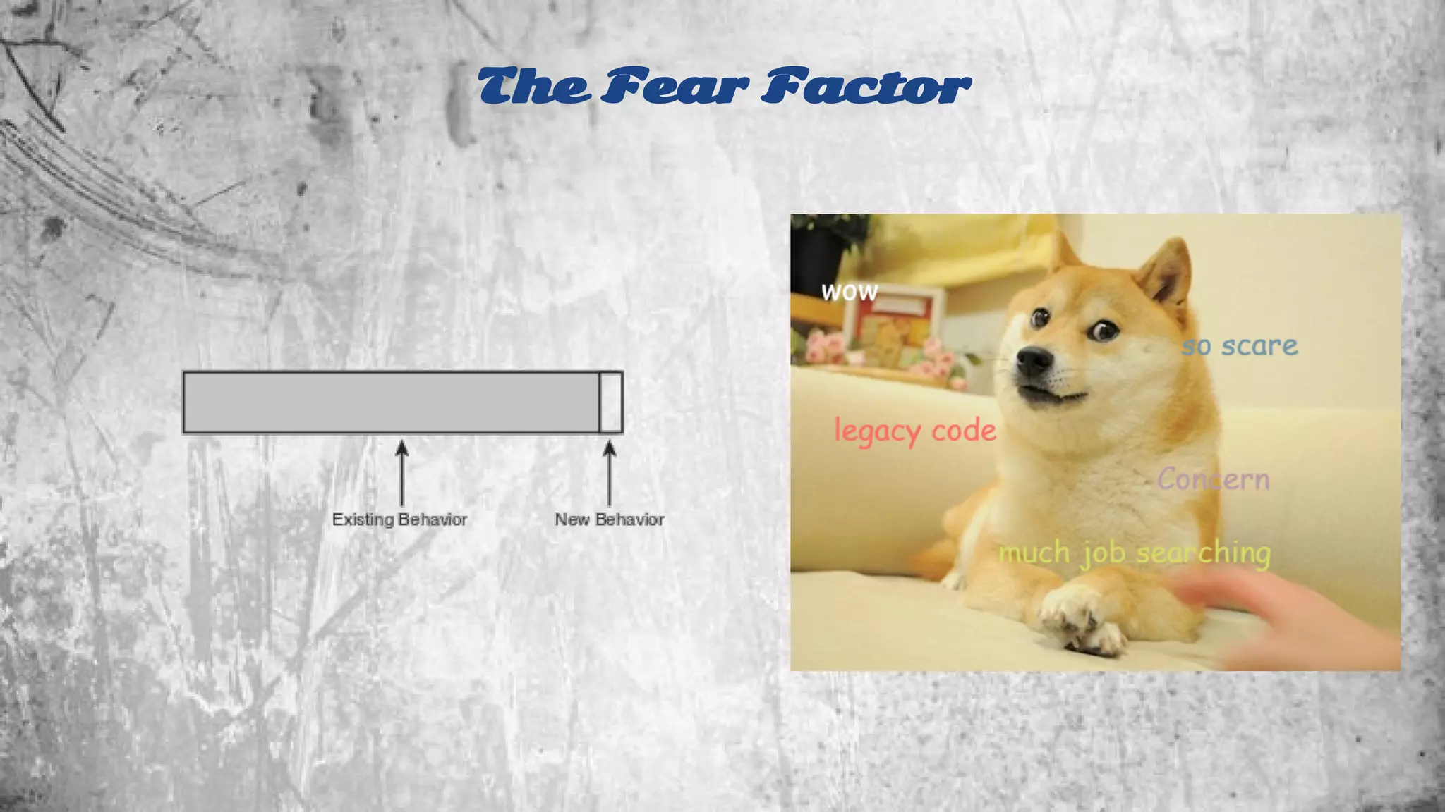 The Fear Factor 
 