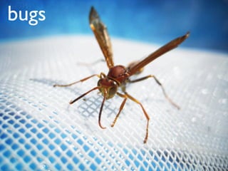 bugs
 