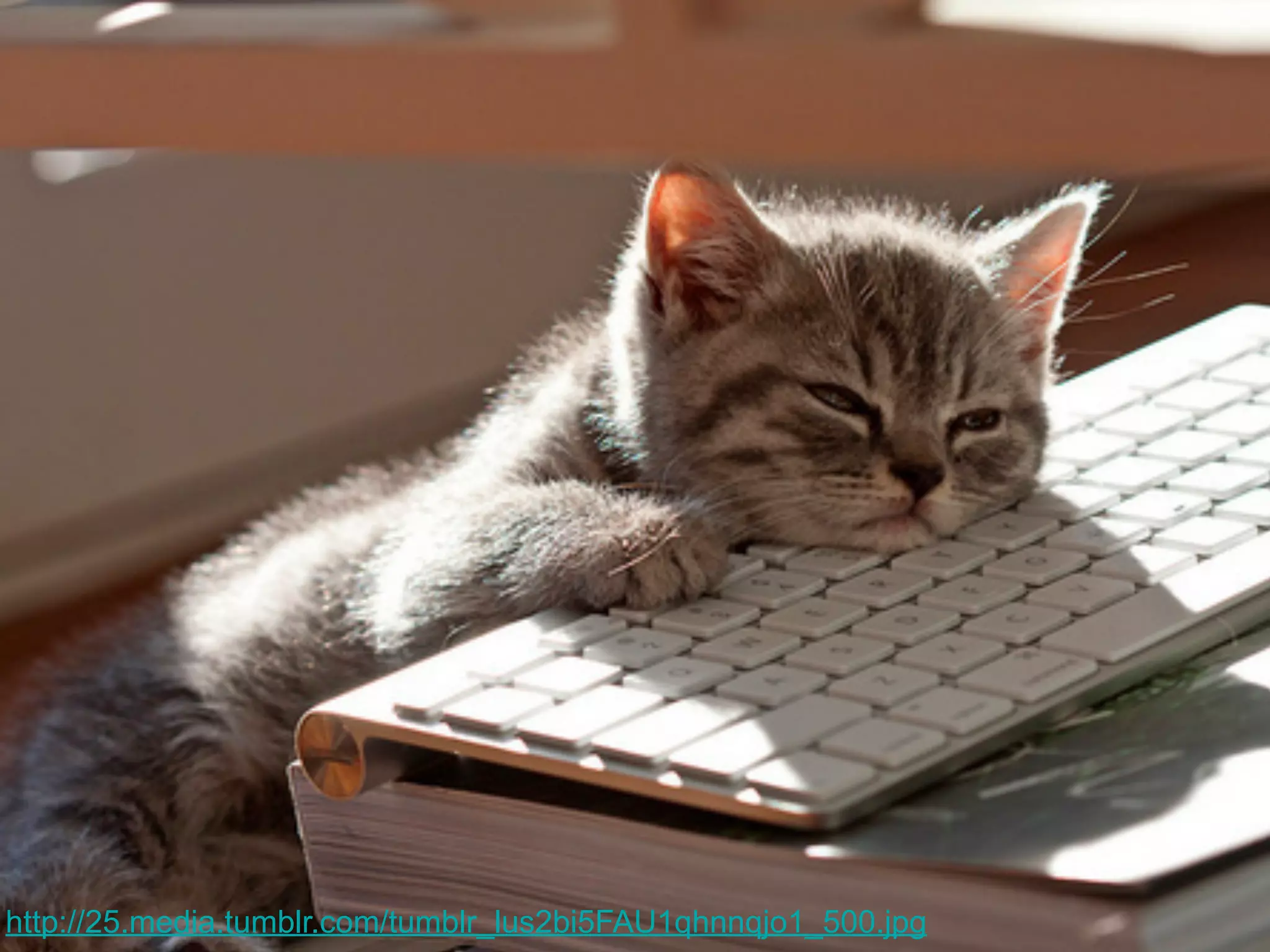 http://25.media.tumblr.com/tumblr_lus2bi5FAU1qhnnqjo1_500.jpg

 