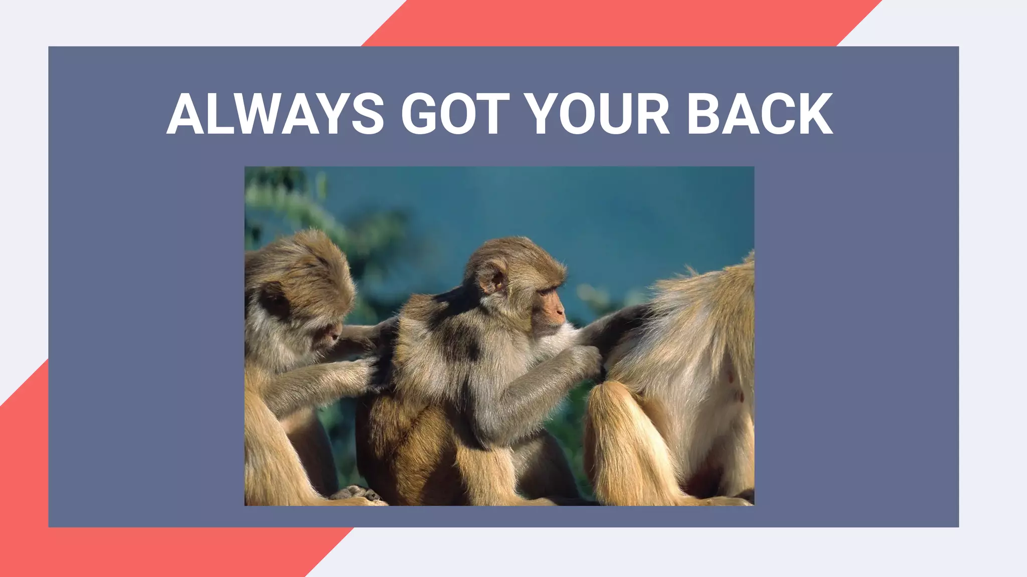 ALWAYS GOT YOUR BACK
 