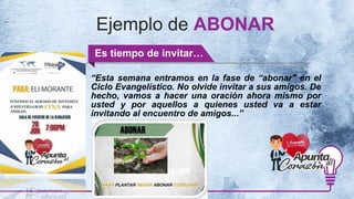Ejemplo de ABONAR
Es tiempo de invitar…
“Esta semana entramos en la fase de “abonar" en el
Ciclo Evangelístico. No olvide invitar a sus amigos. De
hecho, vamos a hacer una oración ahora mismo por
usted y por aquellos a quienes usted va a estar
invitando al encuentro de amigos...”
 
