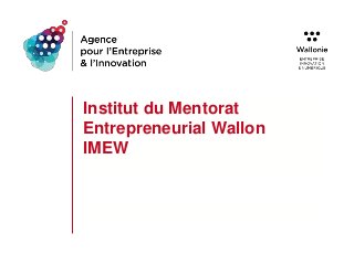Institut du Mentorat
Entrepreneurial Wallon
IMEW
 