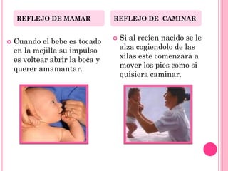 REFLEJO DE MAMAR             REFLEJO DE CAMINAR


   Cuando el bebe es tocado        Si al recien nacido se le
    en la mejilla su impulso         alza cogiendolo de las
    es voltear abrir la boca y       xilas este comenzara a
    querer amamantar.                mover los pies como si
                                     quisiera caminar.
 
