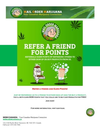 MOM CANADA – Your Canadian Marijuana Connection
www.momcanada.ca
132-1146 Pacific Blvd, Vancouver, BC V6Z 2X7, Canada
Call us at 1-833-242-7666
Refer a friend and Earn Points!
Just by referring us to a friend to either sign up and/or buy a product,
you'll both earn MOM points that you could use to buy our products for FREE!
Join now!
For more information, visit our page.
 