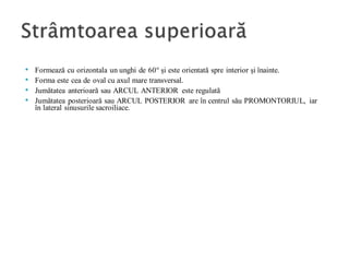 • Formează cu orizontala un unghi de 60° și este orientată spre interior și înainte.
• Forma este cea de oval cu axul mare transversal.
• Jumătatea anterioară sau ARCUL ANTERIOR este regulată
• Jumătatea posterioară sau ARCUL POSTERIOR are în centrul său PROMONTORIUL, iar
în lateral sinusurile sacroiliace.
 