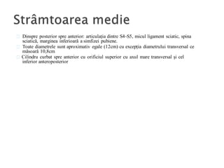 Dinspre posterior spre anterior: articulația dintre S4-S5, micul ligament sciatic, spina
sciatică, marginea inferioară a simfizei pubiene.
Toate diametrele sunt aproximativ egale (12cm) cu excepția diametrului transversal ce
măsoară 10,8cm
Cilindru curbat spre anterior cu orificiul superior cu axul mare transversal și cel
inferior anteroposterior
 