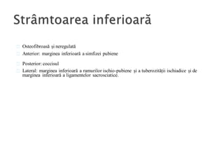 Osteofibroasă și neregulată
Anterior: marginea inferioară a simfizei pubiene
Posterior: coccisul
Lateral: marginea inferioară a ramurilor ischio-pubiene și a tuberozității ischiadice și de
marginea inferioară a ligamentelor sacrosciatice.
 