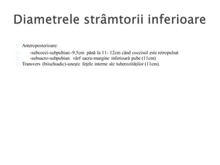 Anteroposterioare:
-subcocci-subpubian:-9,5cm până la 11- 12cm când coccisul este retropulsat
-subsacro-subpubian: vârf sacru-margine inferioară pube (11cm)
Transvers (biischiadic)-unește fețele interne ale tuberozităților (11cm).
 