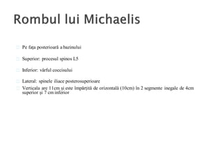Pe fața posterioară a bazinului
Superior: procesul spinos L5
Inferior: vârful coccisului
Lateral: spinele iliace posterosuperioare
Verticala are 11cm și este împărțită de orizontală (10cm) în 2 segmente inegale de 4cm
superior și 7 cm inferior
 