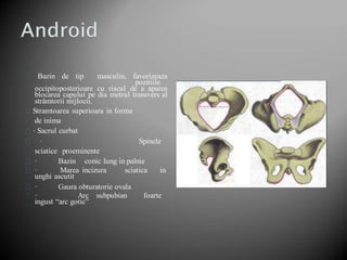Bazin de tip masculin, favorizeaza
pozitiile
occipitoposterioare cu riscul de a aparea
blocarea capului pe dia metrul transvers al
strâmtorii mijlocii.
Stramtoarea superioara in forma
de inima
· Sacrul curbat
· Spinele
sciatice proeminente
· Bazin conic lung in palnie
· Marea incizura sciatica in
unghi ascutit
· Gaura obturatorie ovala
· Arc subpubian foarte
ingust “arc gotic”
 