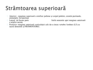 Anterior:- marginea superioară a simfizei pubiene și corpul pubelui, crestele pectineale,
eminențele ilio-pectinee
Lateral: de fiecare parte liniile nenumite apoi marginea anterioară
a aripilor sacrate
Posterior: marginea anterioară a articulației cele de-a cincea vertebre lombare (L5) cu
sacrul denumită și PROMONTORIU.
 