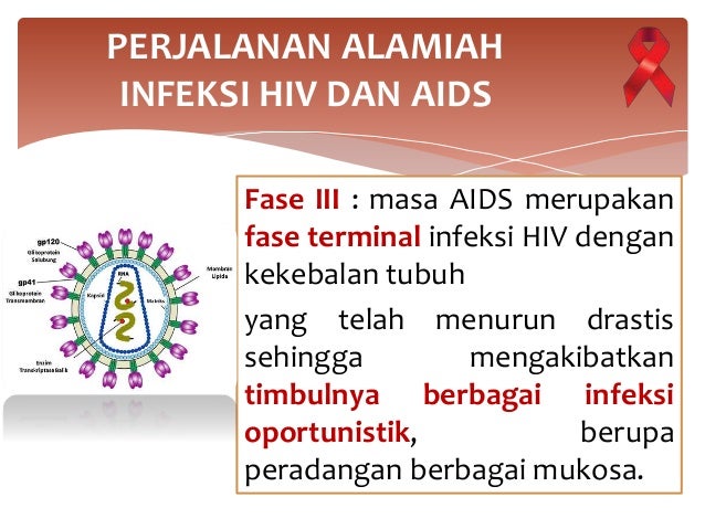 Diagnosis Dan Tatalaksana Pada Bayi Dari Ibu Hiv Diagnosis Dan Tatalaksana Pada Bayi Dari Ibu Hiv