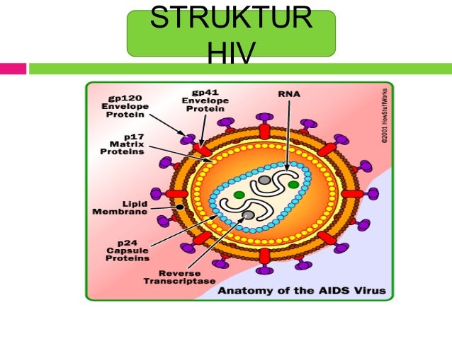 Referat hiv