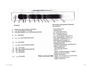 Pola normal HRE

17-12-2012

68

 