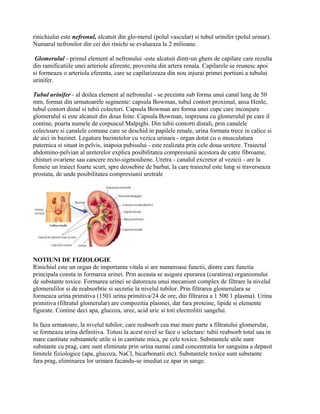 rinichiului este nefronul, alcatuit din glo-merul (polul vascular) si tubul urinifer (polul urinar).
Numarul nefronilor din cei doi rinichi se evalueaza la 2 milioane.

 Glomerulul - primul element al nefronului -este alcatuit dintr-un ghem de capilare care rezulta
din ramificatiile unei arteriole aferente, provenita din artera renala. Capilarele se reunesc apoi
si formeaza o arteriola eferenta, care se capilarizeaza din nou injurai primei portiuni a tubului
urinifer.

Tubul urinifer - al doilea element al nefronului - se prezinta sub forma unui canal lung de 50
mm, format din urmatoarele segmente: capsula Bowman, tubul contort proximal, ansa Henle,
tubul contort distal si tubii colectori. Capsula Bowman are forma unei cupe care inconjura
glomerulul si este alcatuit din doua foite. Capsula Bowman, impreuna cu glomerulul pe care il
contine, poarta numele de corpuscul Malpighi. Din tubii contorti distali, prin canalele
colectoare si canalele comune care se deschid in papilele renale, urina formata trece in calice si
de aici in bazinet. Legatura bazinetelor cu vezica urinara - organ dotat cu o musculatura
puternica si situat in pelvis, inapoia pubisului - este realizata prin cele doua uretere. Traiectul
abdomino-pelvian al ureterelor explica posibilitatea compresiunii acestora de catre fibroame,
chisturi ovariene sau cancere recto-sigmoidiene. Uretra - canalul excretor al vezicii - are la
femeie un traiect foarte scurt, spre deosebire de barbat, la care traiectul este lung si traverseaza
prostata, de unde posibilitatea compresiunii uretrale




NOTIUNI DE FIZIOLOGIE
Rinichiul este un organ de importanta vitala si are numeroase functii, dintre care functia
principala consta in formarea urinei. Prin aceasta se asigura epurarea (curatirea) organismului
de substante toxice. Formarea urinei se datoreaza unui mecanism complex de filtrare la nivelul
glomerulilor si de reabsorbtie si secretie la nivelul tubilor. Prin filtrarea glomerulara se
formeaza urina primitiva (1501 urina primitiva/24 de ore, din filtrarea a 1 500 1 plasma). Urina
primitiva (filtratul glomerular) are compozitia plasmei, dar fara proteine, lipide si elemente
figurate. Contine deci apa, glucoza, uree, acid uric si toti electrolitii sangelui.

In faza urmatoare, la nivelul tubilor, care reabsorb cea mai mare parte a filtratului glomerular,
se formeaza urina definitiva. Totusi la acest nivel se face o selectare: tubii reabsorb total sau in
mare cantitate substantele utile si in cantitate mica, pe cele toxice. Substantele utile sunt
substante cu prag, care sunt eliminate prin urina numai cand concentratia lor sanguina a depasit
limitele fiziologice (apa, glucoza, NaCl, bicarbonatii etc). Substantele toxice sunt substante
fara prag, eliminarea lor urinara facandu-se imediat ce apar in sange.
 