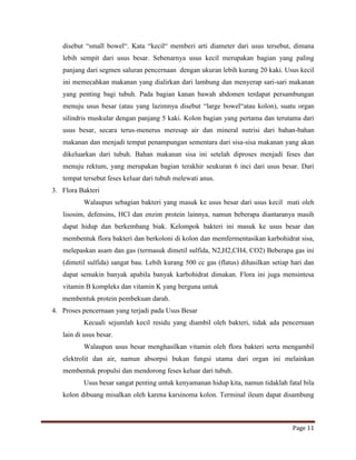 Referat ca rekti Egy | DOCX