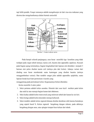 Referat ca rekti Egy | DOCX