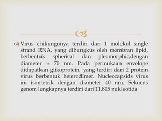 
 Virus chikungunya terdiri dari 1 molekul single
strand RNA, yang dibungkus oleh membran lipid,
berbentuk spherical dan pleomorphic,dengan
diameter ± 70 nm. Pada permukaan envelope
didapatkan glikoprotein, yang terdiri dari 2 protein
virus berbentuk heterodimer. Nucleocapsids virus
ini isometrik dengan diameter 40 nm. Sekuens
genom lengkapnya terdiri dari 11.805 nukleotida
 