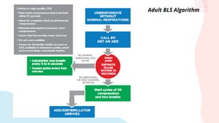 Adult BLS Algorithm
 