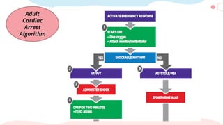 Adult
Cardiac
Arrest
Algorithm
 