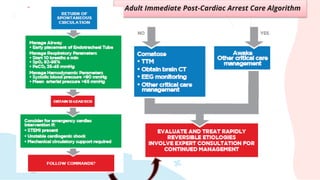 Adult Immediate Post-Cardiac Arrest Care Algorithm
 