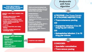 Bradycardia
with Pulse
Algorithm
 