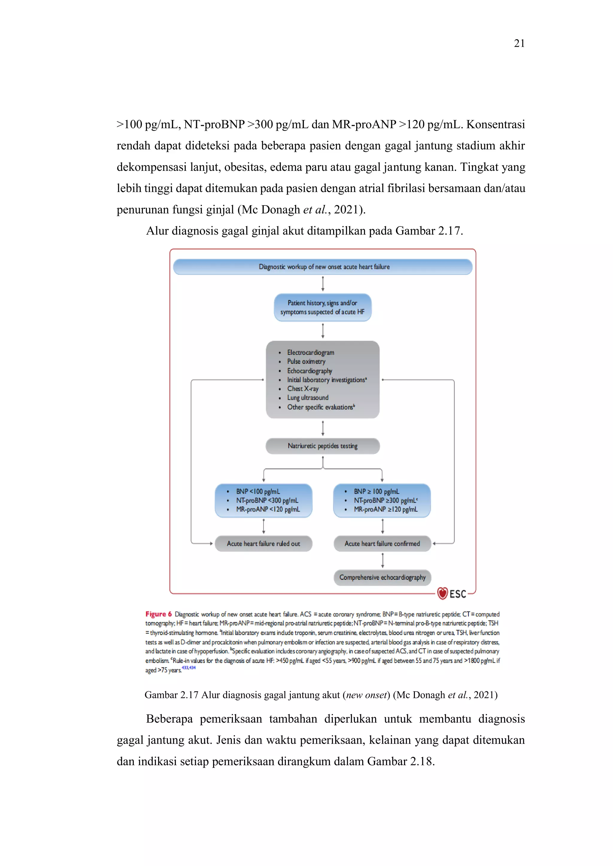 Referat guideline acute and chronic heart failure 2021 | PDF