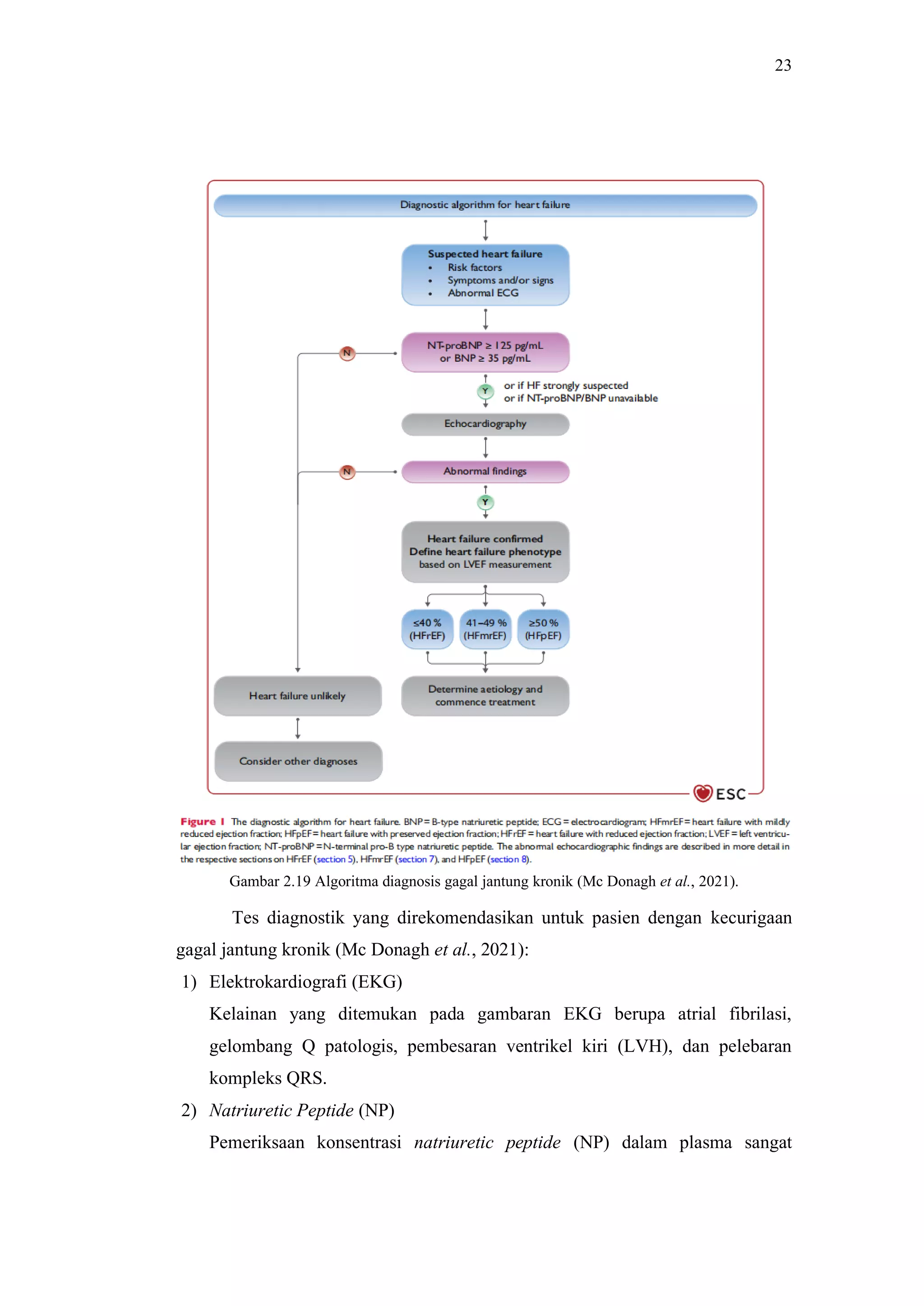 Referat guideline acute and chronic heart failure 2021 | PDF
