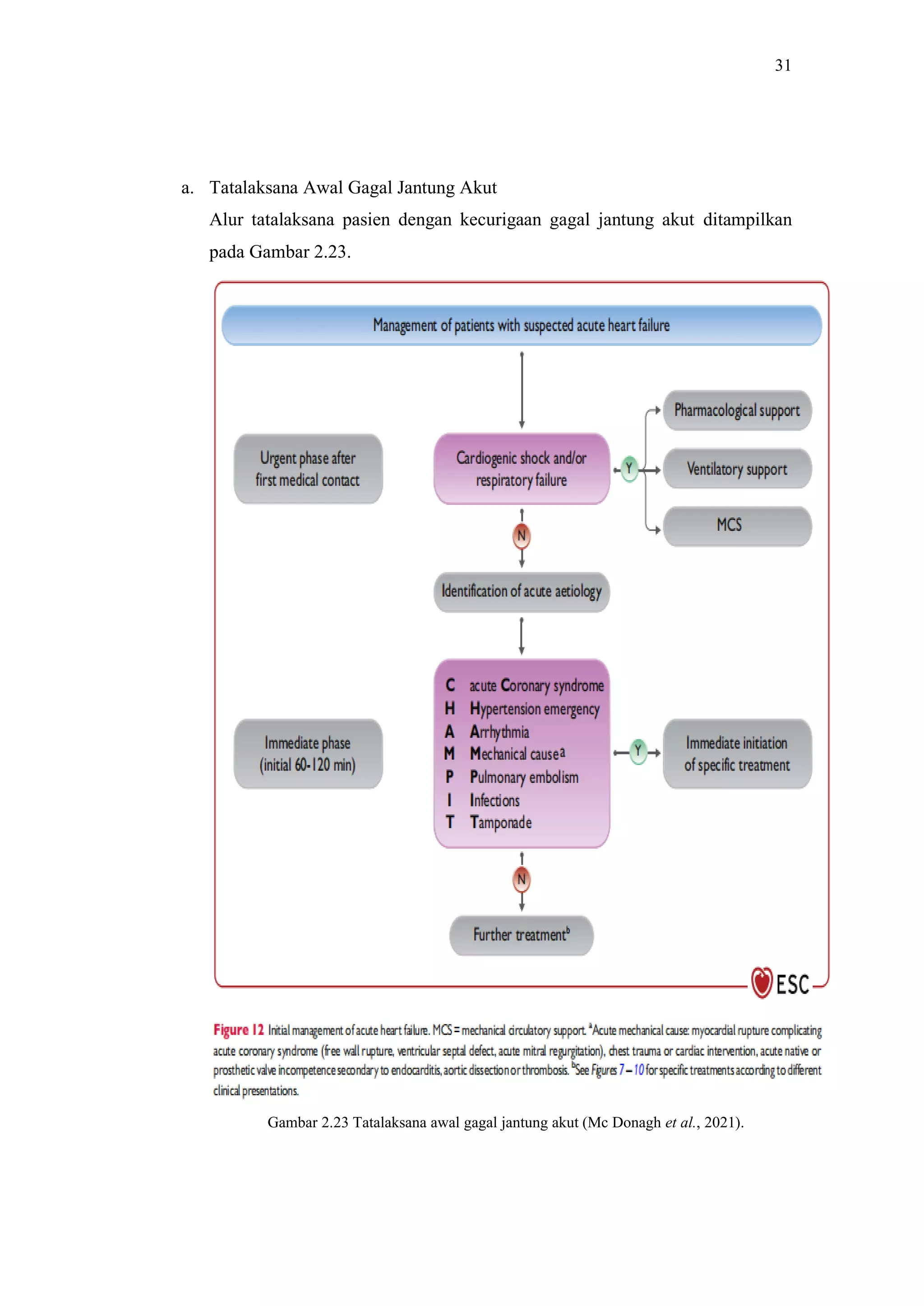 Referat guideline acute and chronic heart failure 2021 | PDF