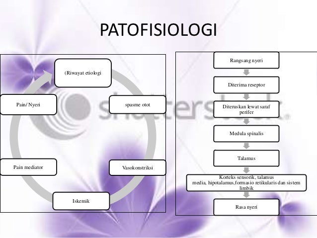 Referat Low Back Pain