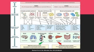 Reinhart K et al. Clin. Microbiol. Rev. 2012;25:609-634
 