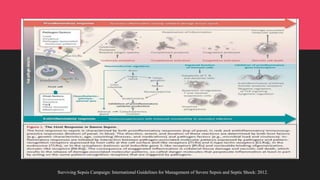 Surviving Sepsis Campaign: International Guidelines for Management of Severe Sepsis and Septic Shock: 2012.
 