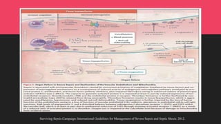 Surviving Sepsis Campaign: International Guidelines for Management of Severe Sepsis and Septic Shock: 2012.
 