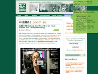 http://www.nwf.org/News-and-
                                 Magazines/Media-Center/Social-
                                 Media.aspx




                                 Blog auf der Website der NWF.

                                 + Häufige Updates (teils
                                   mehrmals täglich)
                                 + Guter Mix an Einsatz von
                                   verschiedenen Medien: Text,
                                   Video, Links
                                   Wenig Dialogorientierung.
                                   Überschaubare Anzahl von
                                   Kommentaren.




© orange8 interactive ag, 2010                               28
 